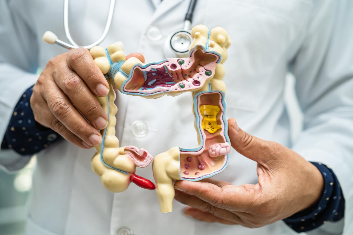 Il Microbiota e la salute