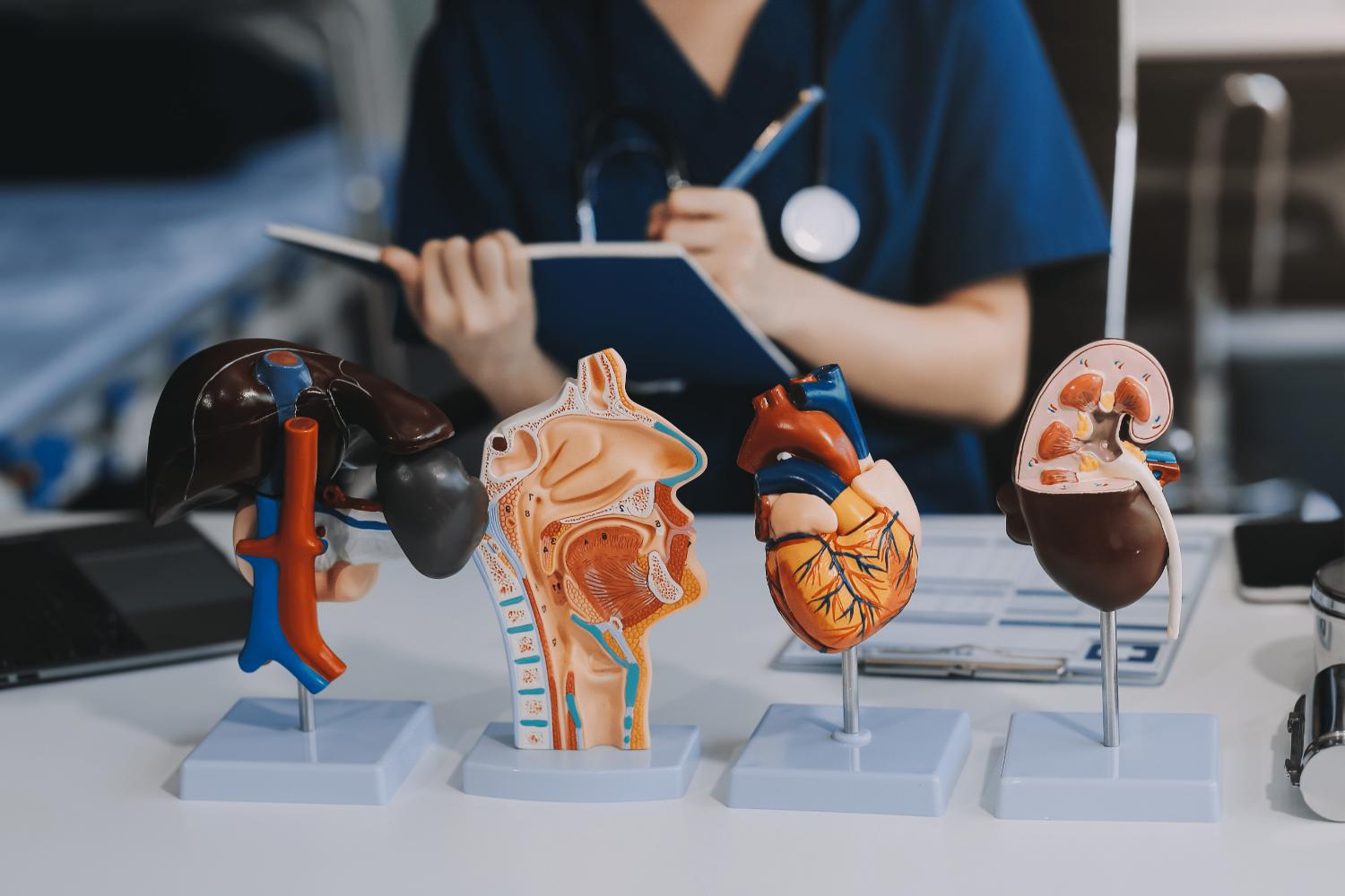 Medicina interna: nuovo ambulatorio delle Dislipidemie