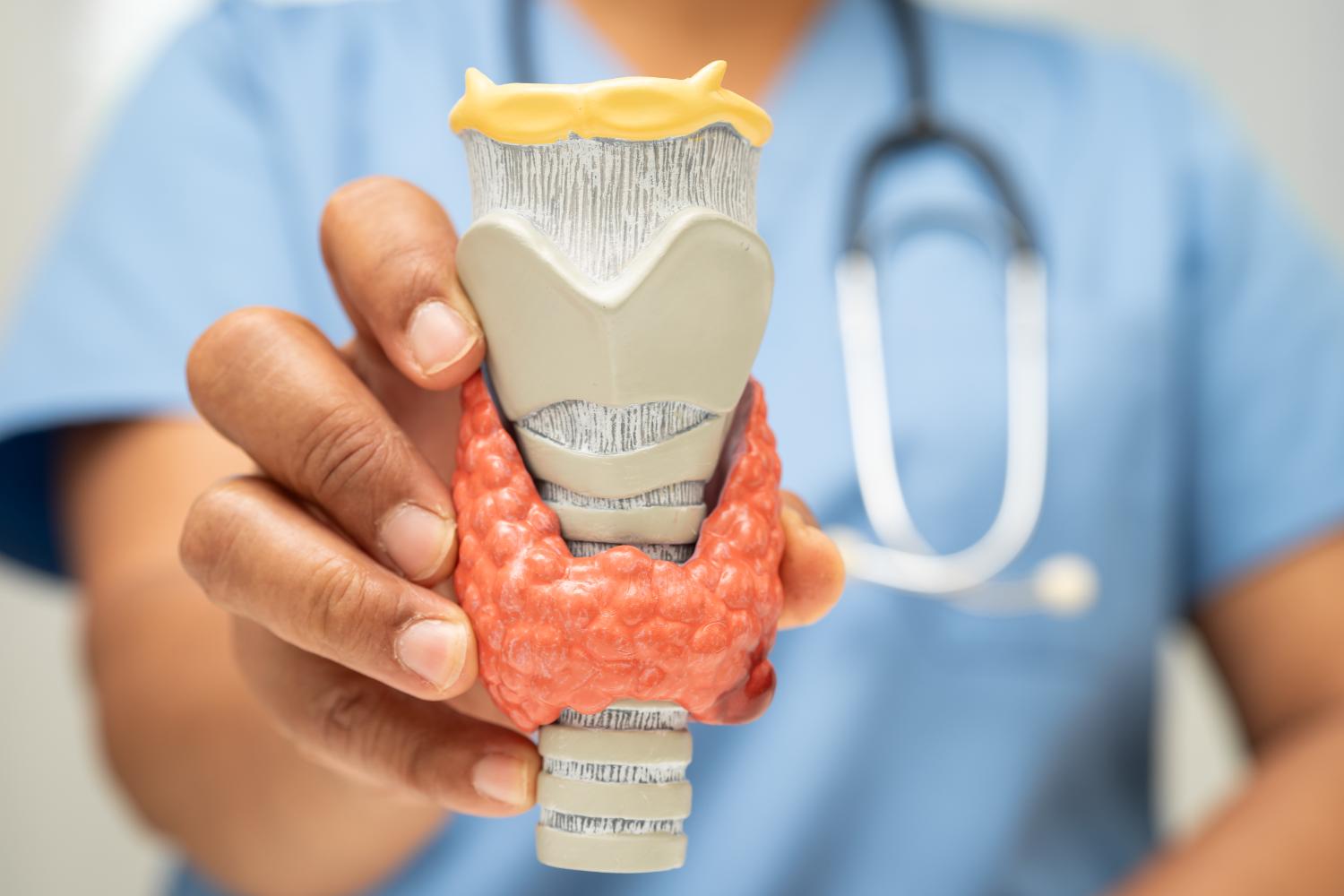 Tiroide: all’Ospedale Koelliker nasce il nuovo percorso multidisciplinare per diagnosi, prevenzione e cura