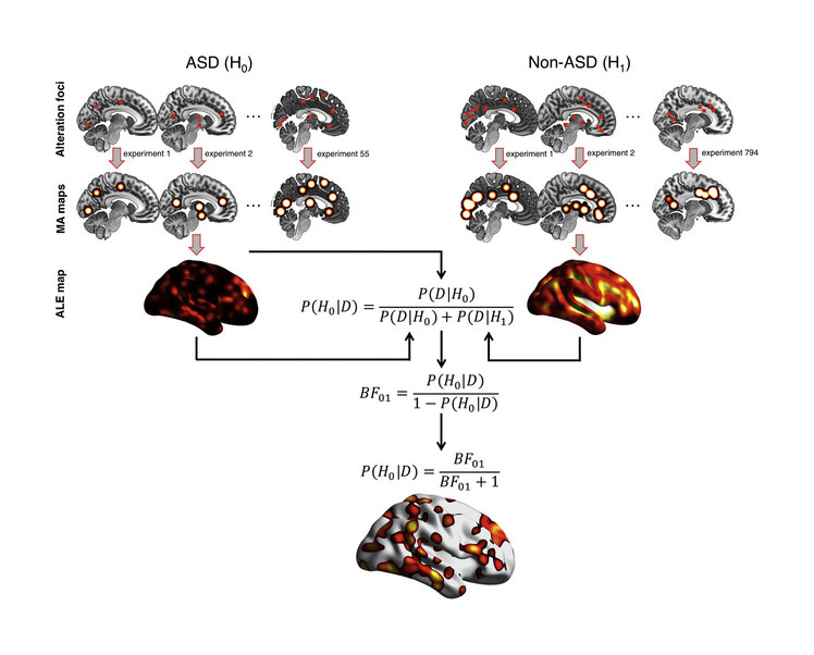 Neuroimaging Data Science