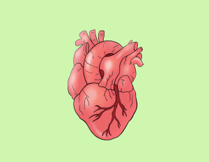 Sabato 7 marzo - Le rivoluzioni nelle Linee Guida cardiologiche: oltre la cardiologia
